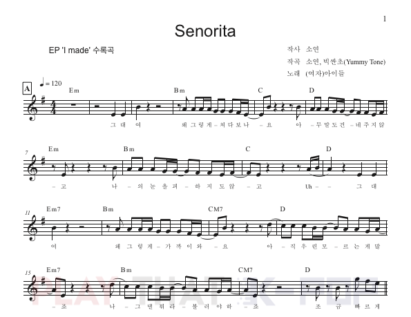 세뇨리따 (Senorita)